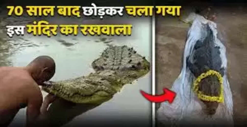शाकाहारी मगरमच्छ बाबिया का निधन: मंदिर की सुरक्षा का प्रतीक