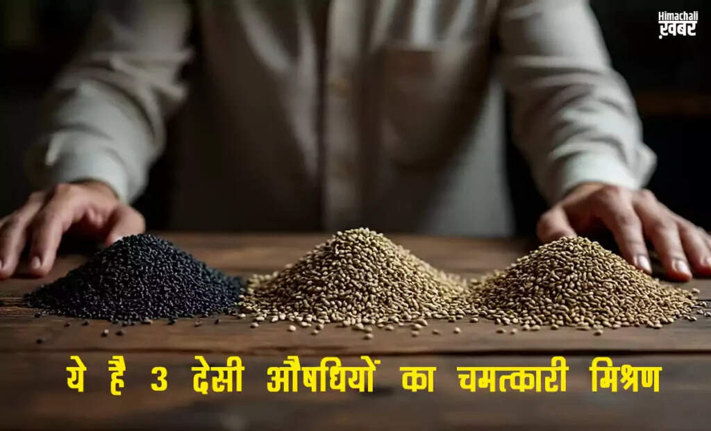 सर्दियों में स्वास्थ्य के लिए 3 आयुर्वेदिक औषधियों का चमत्कारी मिश्रण