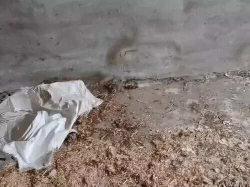 जम्मू-कश्मीर पुलिस ने आतंकवाद के बड़े षड्यंत्र का किया पर्दाफाश