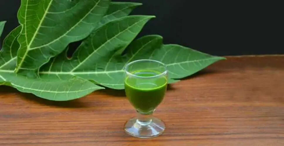 पपीते के पत्तों के अद्भुत स्वास्थ्य लाभ
