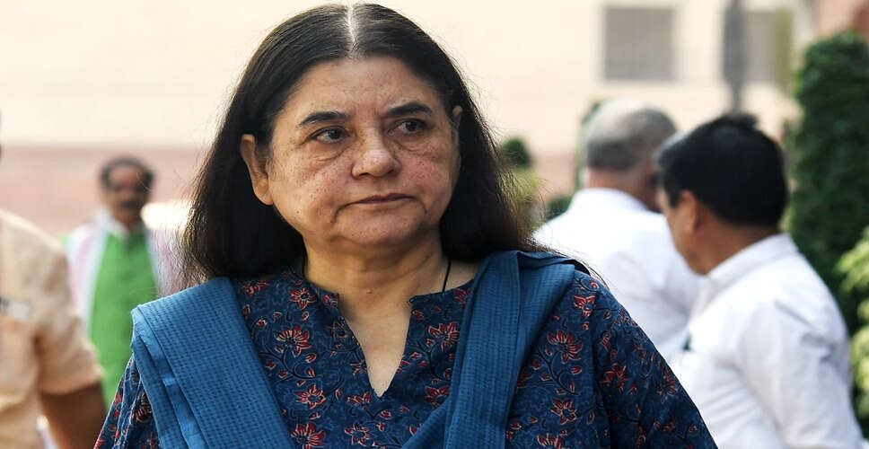 सुप्रीम कोर्ट के आदेश पर मेनका गांधी की चिंता: आवारा कुत्तों के लिए आश्रय की कमी