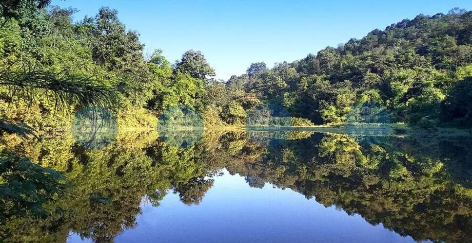 गुवाहाटी का अमचांग वन्यजीव अभयारण्य: एक प्राकृतिक खजाना