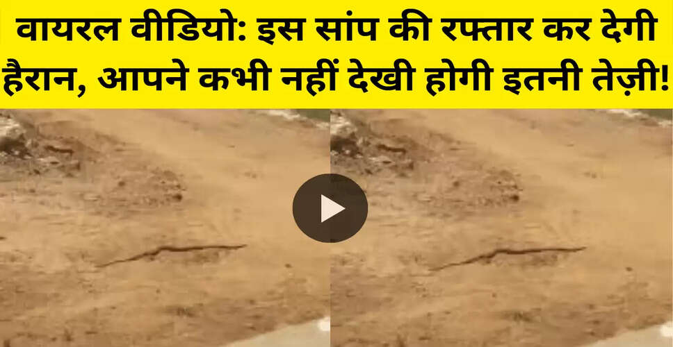 तेज रफ्तार सांप का वायरल वीडियो सोशल मीडिया पर छाया