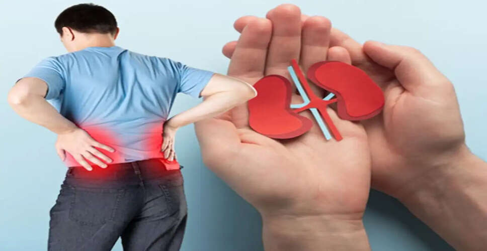 ग kidney Stones के कारण और रोकथाम के उपाय