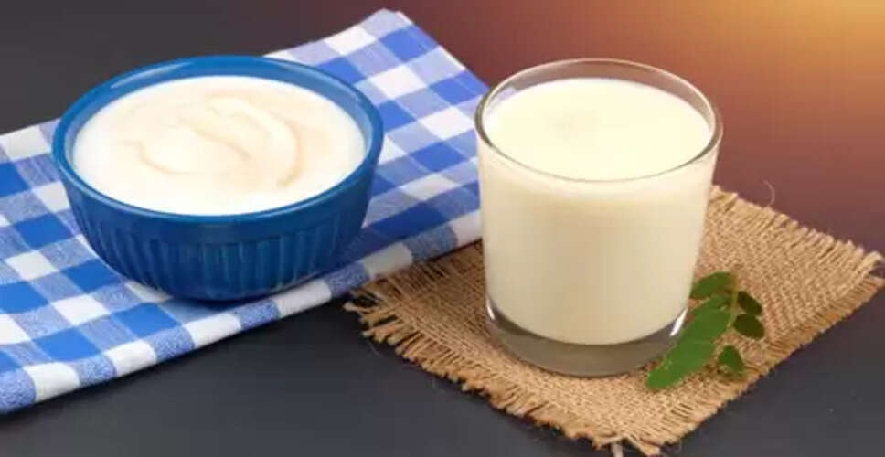 दही या छाछ... मानसूनी सीजन में बेहतर विकल्प क्या?