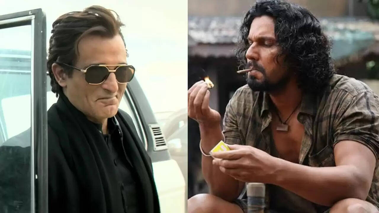 2025 के सबसे प्रभावशाली खलनायक: हीरो को दी मात