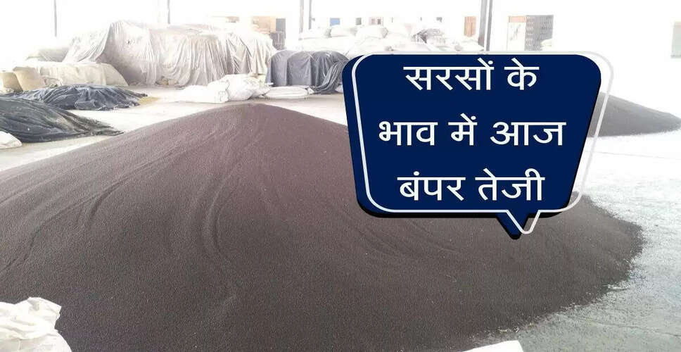 सरसों के भाव में तेजी: मंडियों में बढ़ते दाम