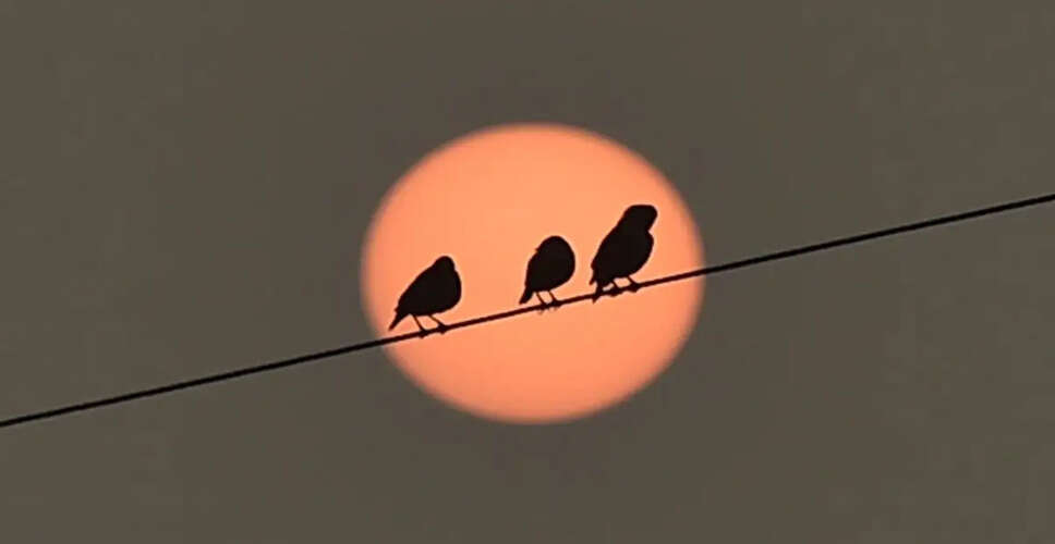 सूर्य की सक्रियता से अंतरिक्ष मलबे की समस्या में कमी