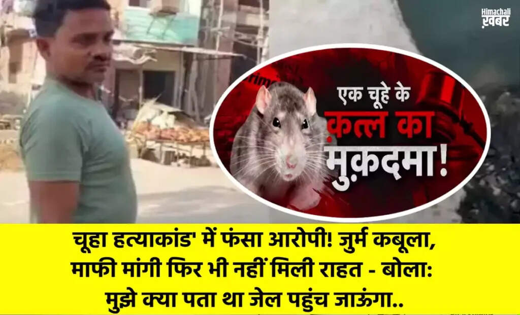 चूहा मारने पर आरोपी को मिली बड़ी मुसीबत, जानें पूरा मामला