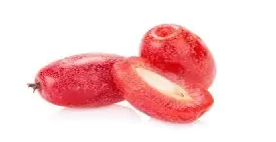 जमालगोटा: स्वास्थ्य लाभ और सावधानियाँ