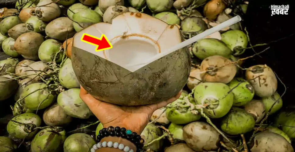 सही नारियल चुनने के लिए उपयोगी टिप्स