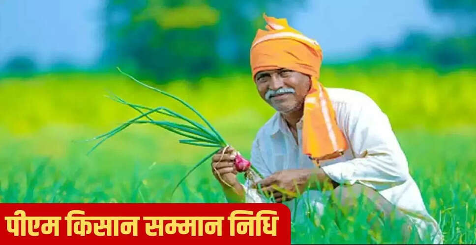 पीएम किसान सम्मान निधि: जानें क्यों नहीं आया पैसा और कैसे करें सुधार
