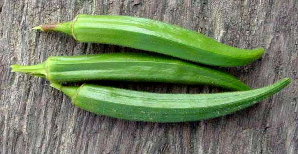 भिंडी के साथ खाने में इन 5 सब्जियों से बचें: जानें क्यों