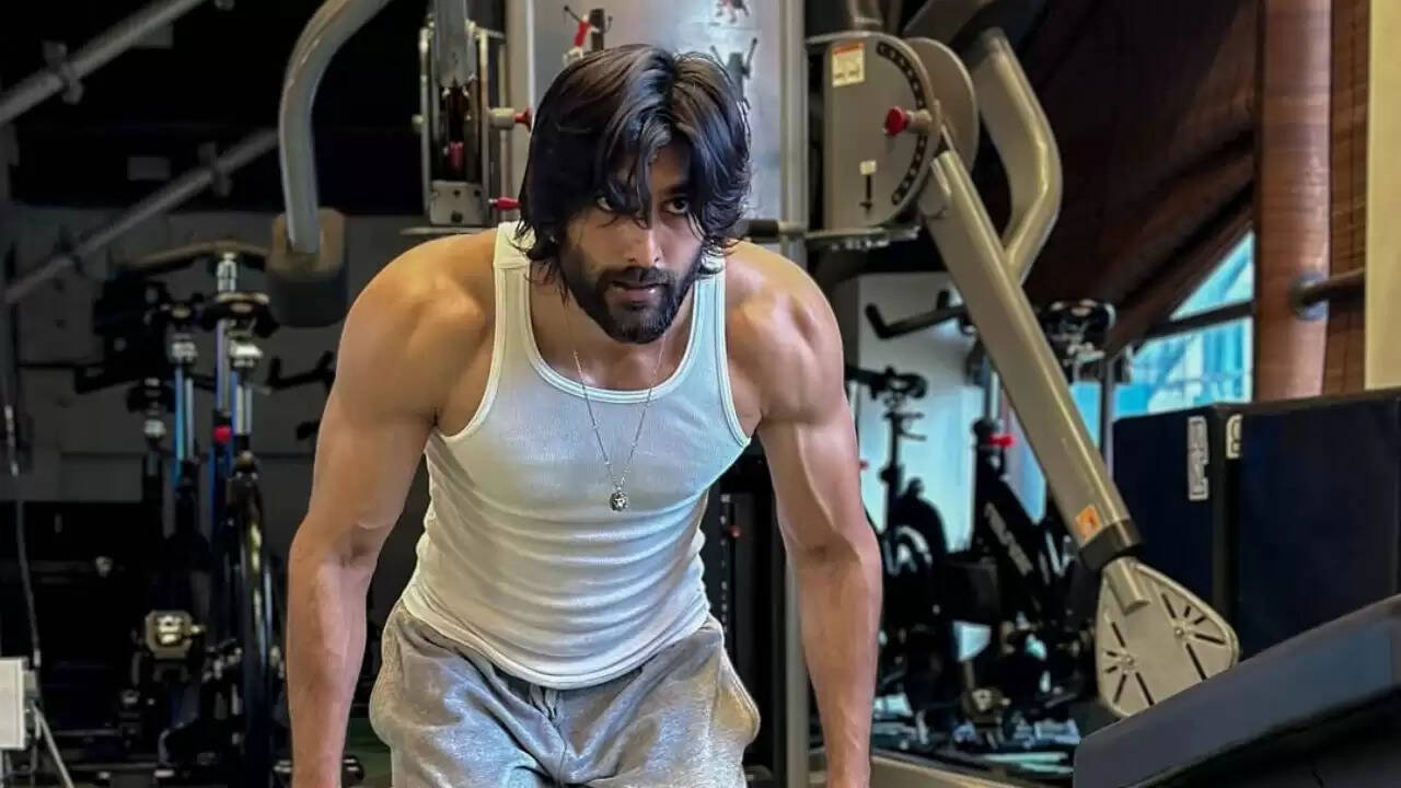 मीजान जाफरी: बॉलीवुड में नेपो किड से एक सफल अभिनेता तक का सफर