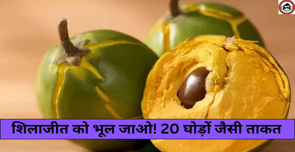 शारीरिक कमजोरी से निपटने के लिए शिलाजीत और लुकुमा के लाभ