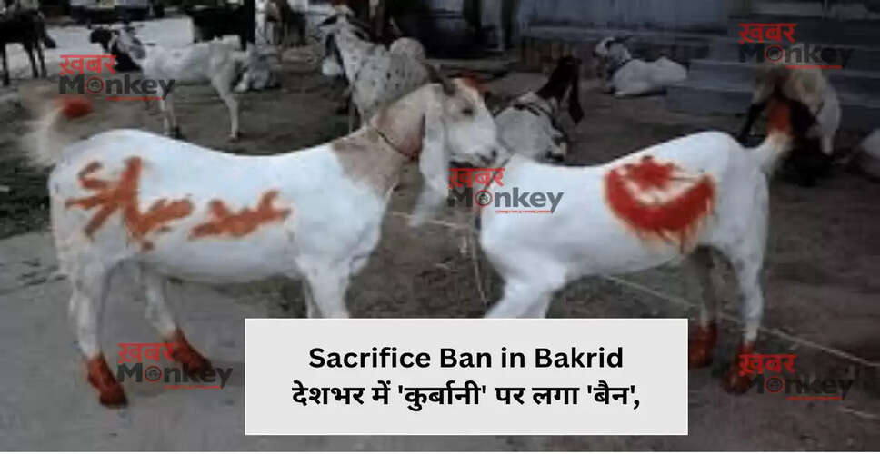 मोरक्को में बकरीद पर कुर्बानी पर रोक: धार्मिक विवाद और जनाक्रोश