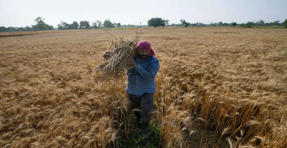 भारत में उर्वरक की स्थिति: पर्याप्त आपूर्ति और बेहतर प्रबंधन
