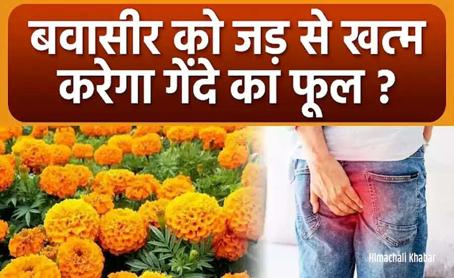 बवासीर के घरेलू उपचार: गेंदे के फूल और काली मिर्च का उपयोग