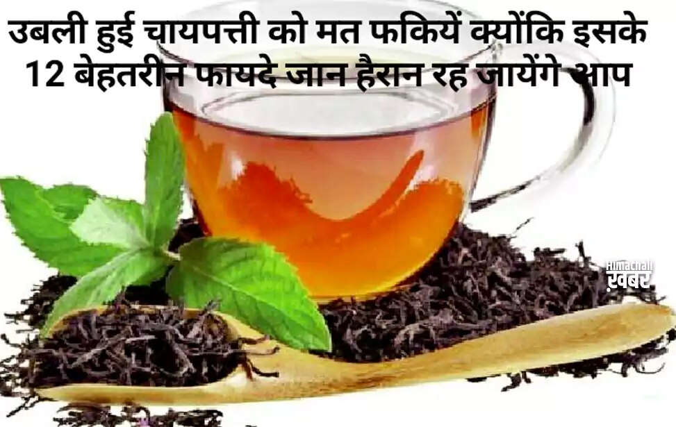 उबली हुई चायपत्ती के 12 अद्भुत उपयोग