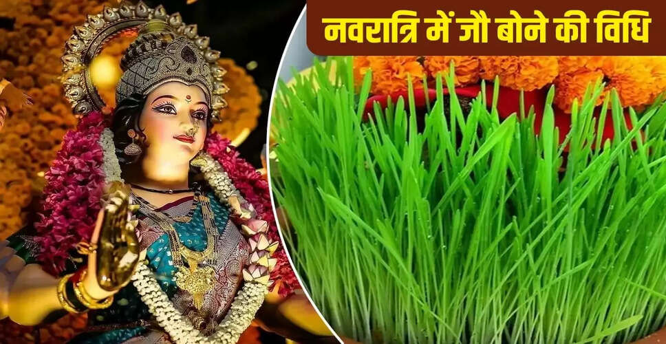शारदीय नवरात्रि में जौ उगाने की विधि और महत्व