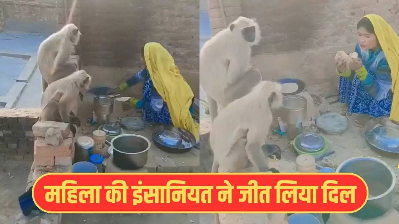 महिला ने बंदरों को गरम रोटियां खिलाकर दिखाई मानवता की मिसाल