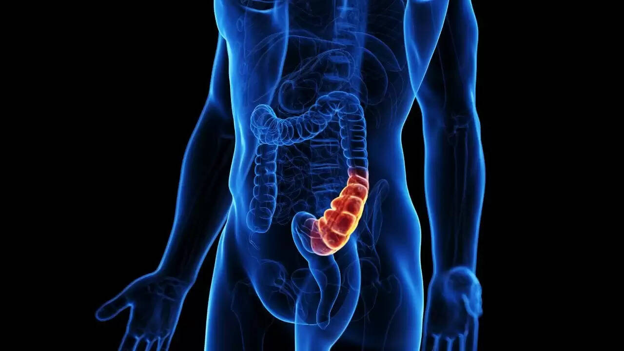 कब्ज की समस्या से राहत पाने के लिए सही आटे की रोटी का चुनाव