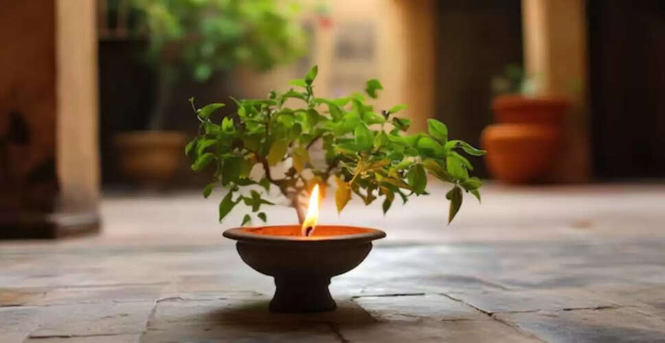 तुलसी पूजा के नियम: जानें कैसे करें सही पूजा