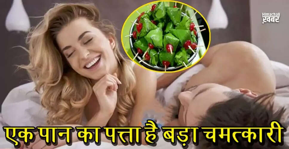 पान के पत्ते के अद्भुत स्वास्थ्य लाभ: यौन जीवन में सुधार से लेकर कैंसर रोकने तक