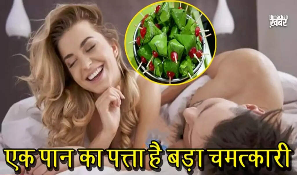 पान के पत्ते के अद्भुत स्वास्थ्य लाभ: यौन जीवन में सुधार से लेकर कैंसर रोकने तक