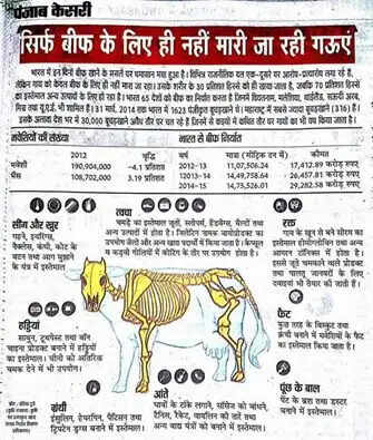 गाय के कत्ल से बनने वाले उत्पाद: जानें क्या-क्या होता है