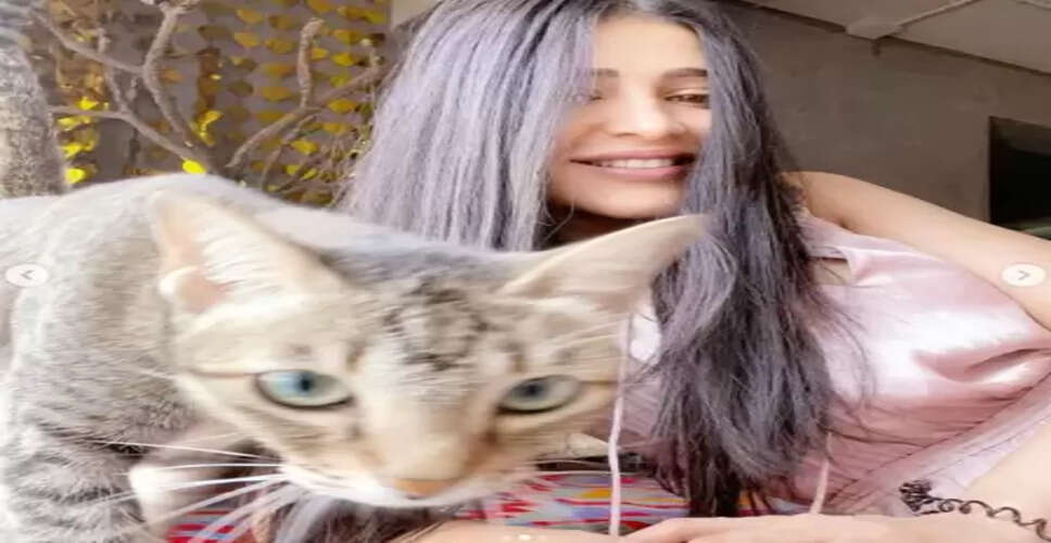 श्रुति हासन को महीनों बाद मिली खोई हुई बिल्ली 'कोरा', एक्ट्रेस फिर भी हैं उदास