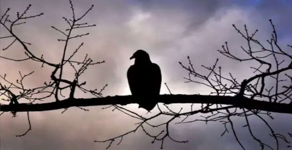 पशु-पक्षियों के संकेत: अपशकुन के संकेतों को समझें