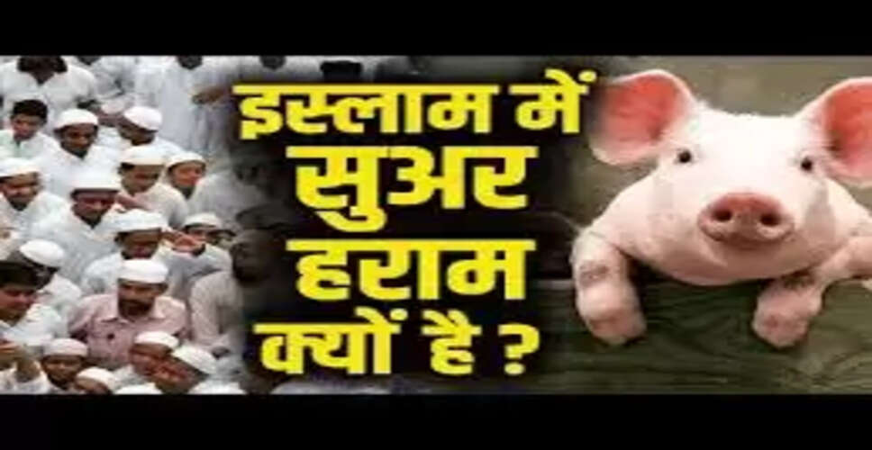 सूअर का मांस: इस्लाम में हराम होने के पीछे के कारण