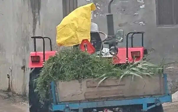 मुजफ्फरनगर में बारिश से मौसम में बदलाव, किसानों की बढ़ी चिंता