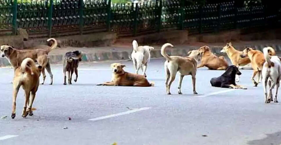बिहार में 13 वर्षीय लड़के की कुत्तों के झुंड द्वारा हत्या, ग्रामीणों का प्रदर्शन
