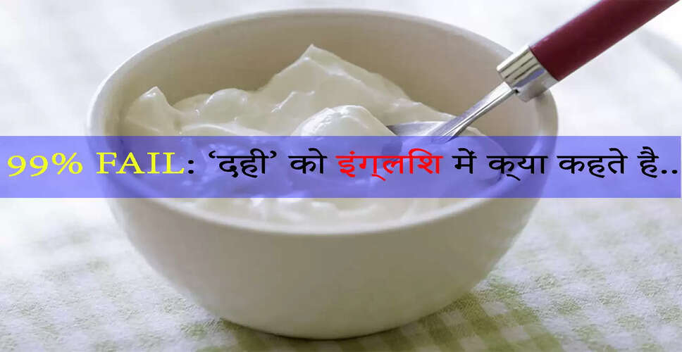 दही का अंग्रेजी में क्या होता है नाम? जानें सही उत्तर