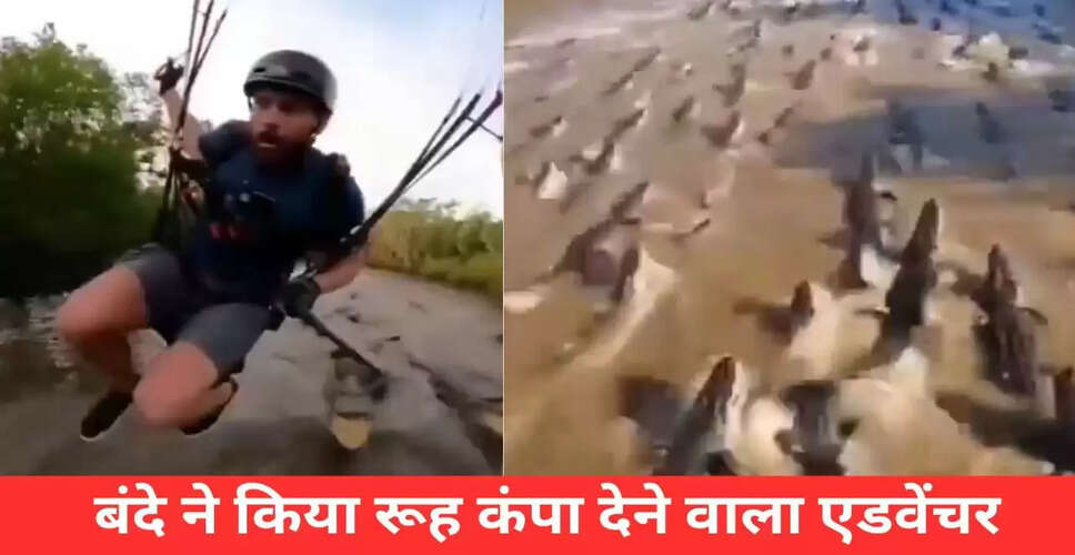खतरनाक एडवेंचर: मगरमच्छों के ऊपर से पैराग्लाइडिंग का रोमांचक वीडियो