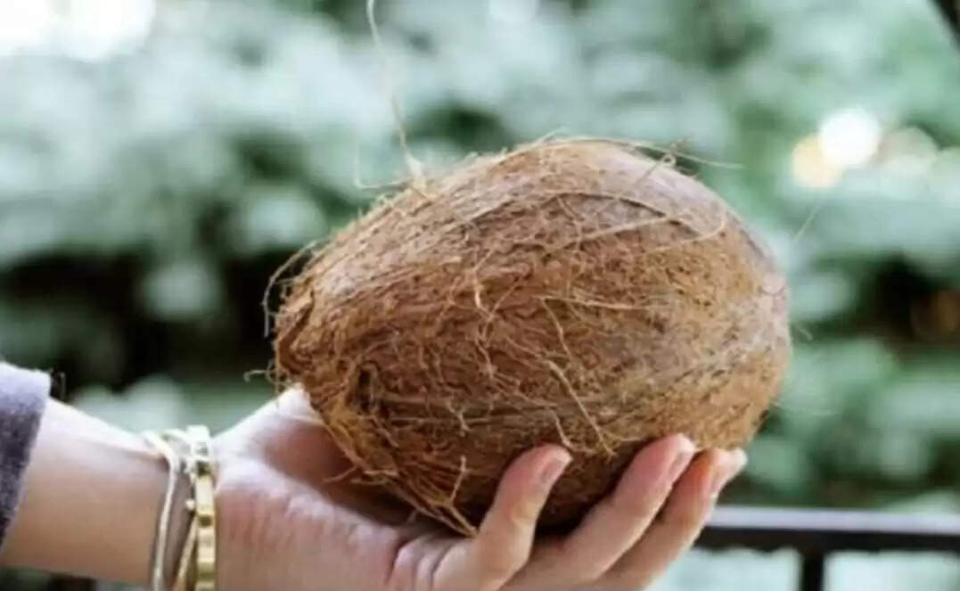नारियल के धार्मिक महत्व और संतान सुख से जुड़ी मान्यताएँ
