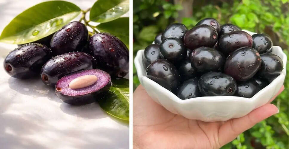 बारिश में जामुन के स्वास्थ्य लाभ: जानें कैसे यह फल आपकी सेहत को सुधारता है