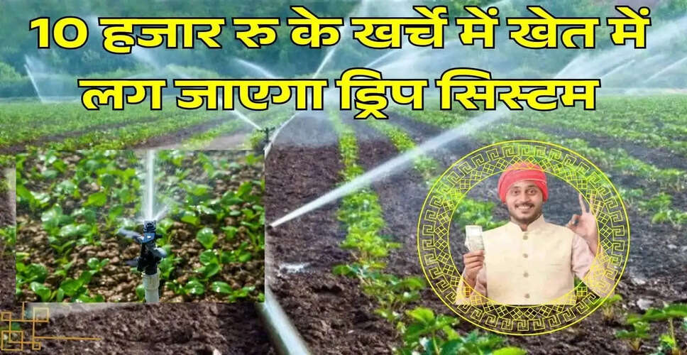 किसानों के लिए ड्रिप सिस्टम पर 80% तक की सब्सिडी: जानें कैसे करें आवेदन
