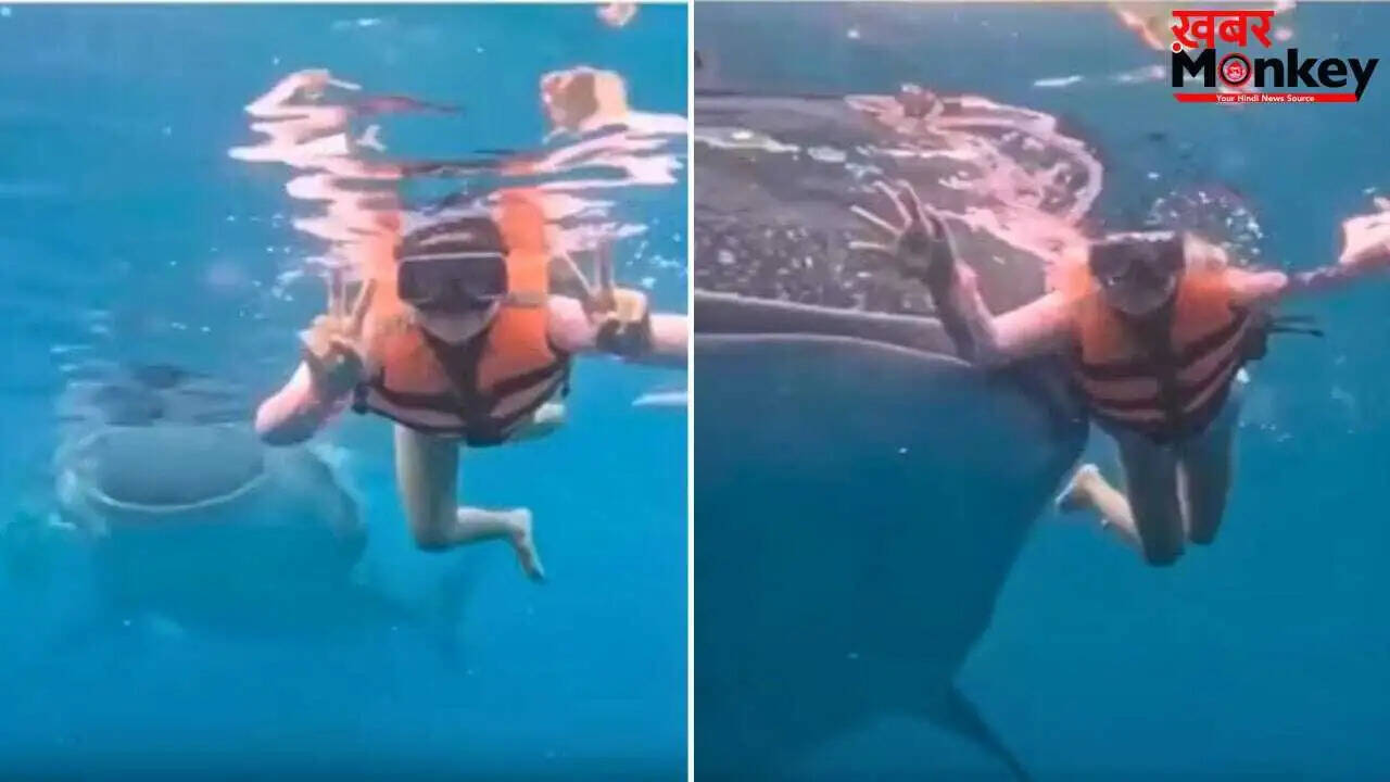 महिला का अंडरवाटर फोटोशूट, जब अचानक आई विशाल व्हेल शार्क