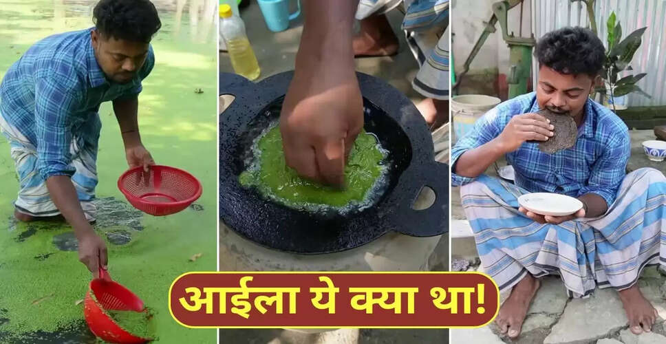 काई से बने पैनकेक का वीडियो हुआ वायरल, जानें इसके फायदे