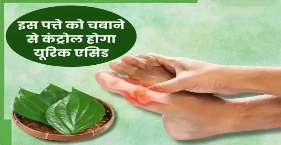 यूरिक एसिड कम करने के लिए पान के पत्ते का सेवन करें