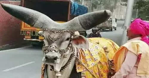 सावन माह में महादेव की कृपा पाने के लिए करें ये उपाय