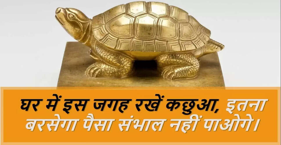 कछुए की मूर्ति लगाने के सही तरीके: वास्तु के अनुसार दिशा का ध्यान रखें