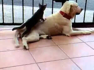 जानें, बुरे समय के संकेत और उनसे बचने के उपाय