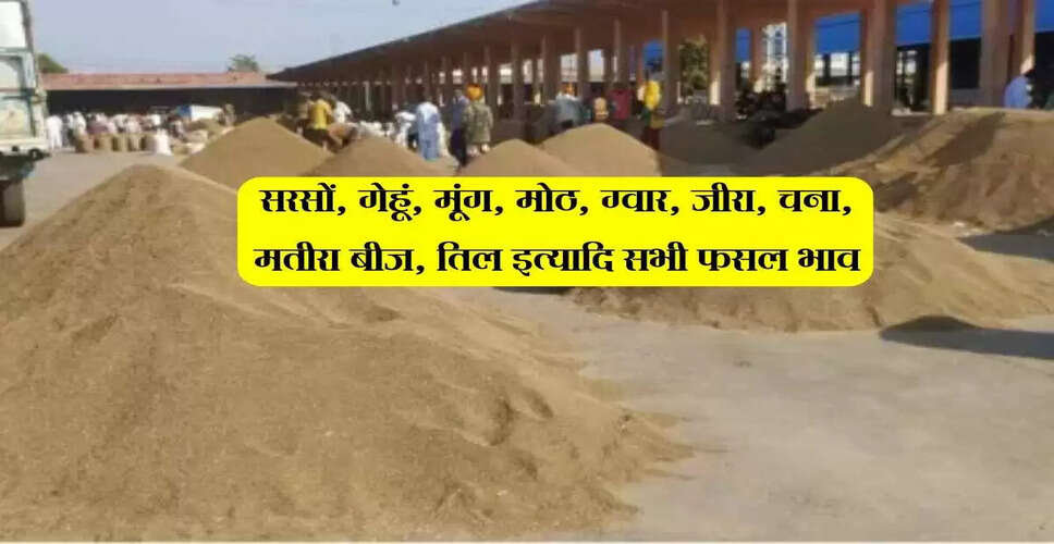जोधपुर मंडी में सरसों के भाव में गिरावट, जानें अन्य फसलों के दाम