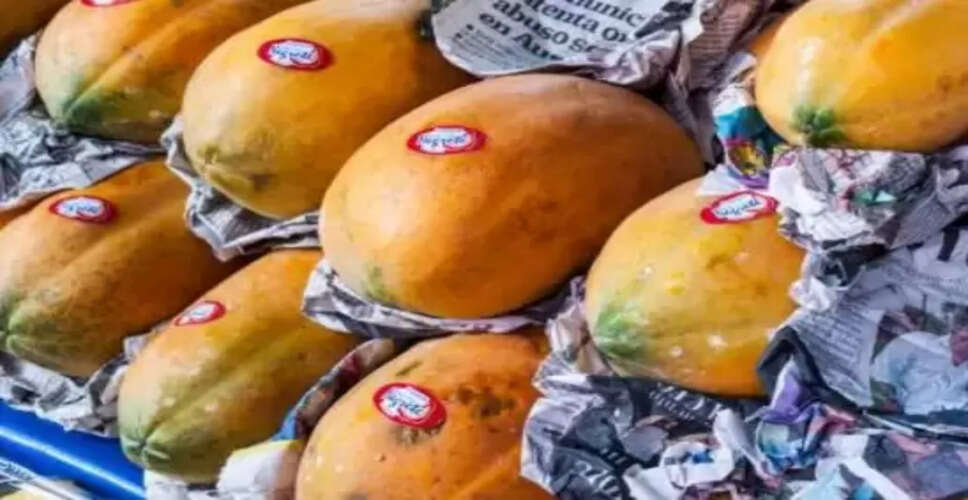 पपीते को अखबार में लपेटने के पीछे के वैज्ञानिक कारण