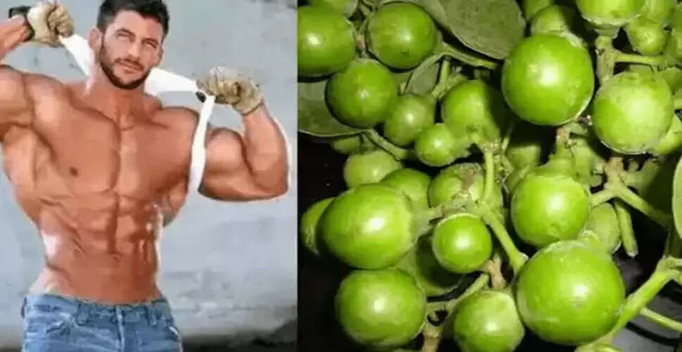 लसोड़ा: स्वास्थ्य के लिए फायदेमंद फल और इसके अद्भुत लाभ