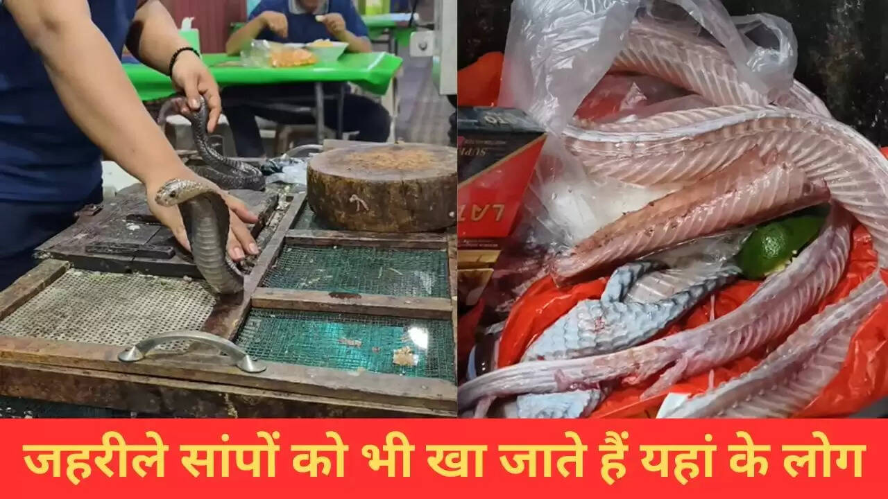 इंडोनेशिया में जहरीले कोबरा का मांस: एक अनोखी परंपरा